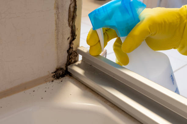 Best Commercial Mold Removal  in Richmond, VA