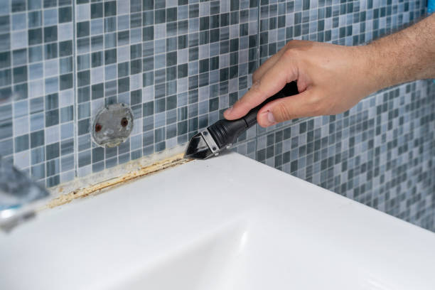 Best Mold Removal Near Me  in Richmond, VA