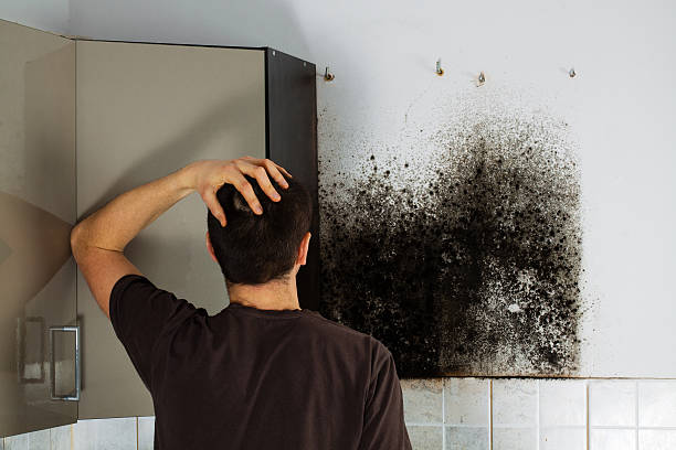 Richmond, VA Mold Removal Company